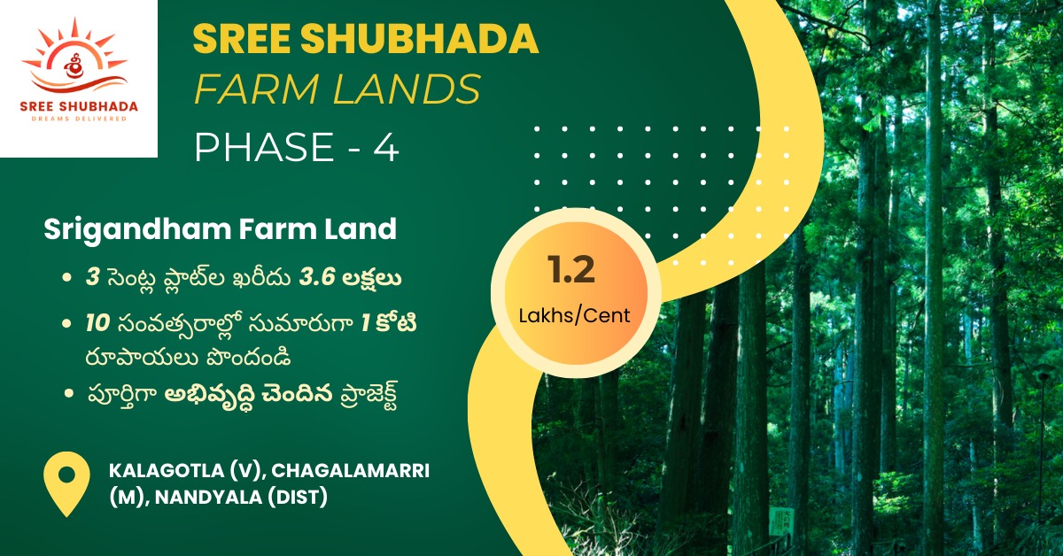 Farm Lands for sale in Machapuram,Devarkonda ,Kurnool