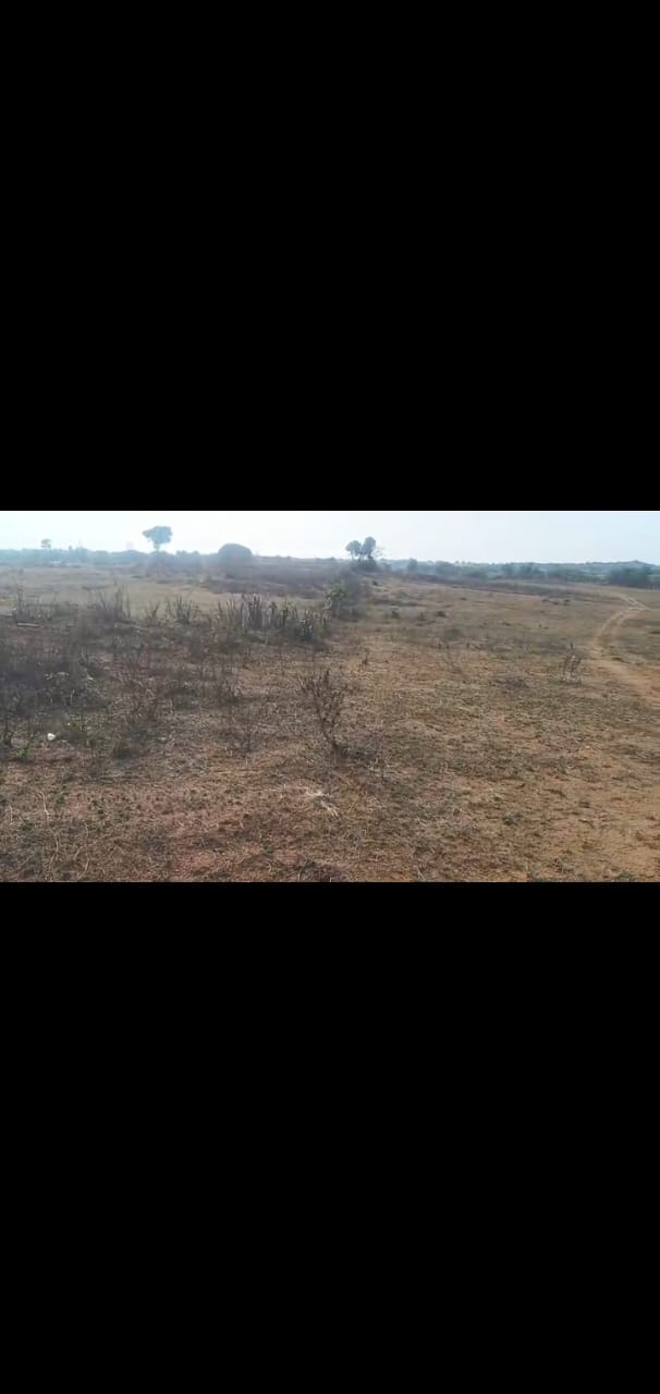 6 acres land for sale at Jagdavpur , Siddipet