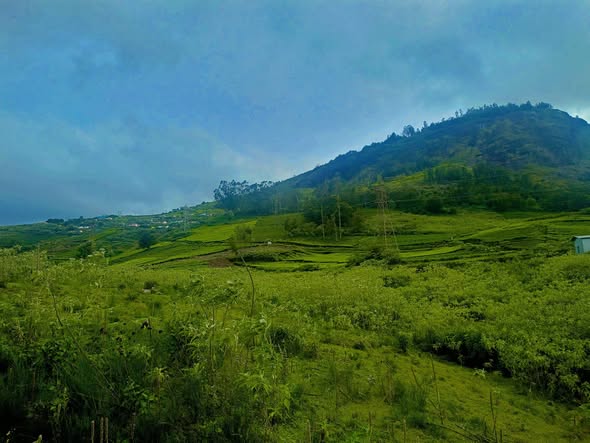 2.34 Acres Extent Farm Land For Sale In  Ooty Nilgiris