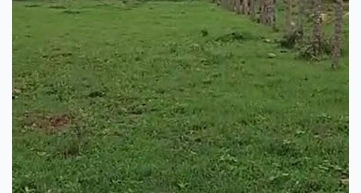  2.20 acers Land  Near wargal temple
