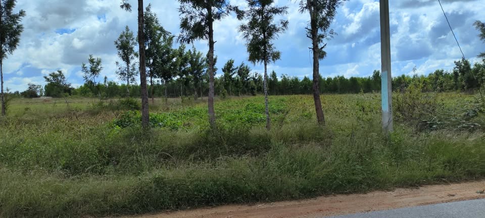 1 Acre 28 Gunta Property with Taar Road Approach Near Bangalore-Mulbagal Highway