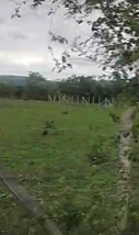 15 Acres Agricultural Land For Sale In Gingurthy  vikarabad  District