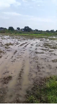 20 Guntas land for sale in Siddipet