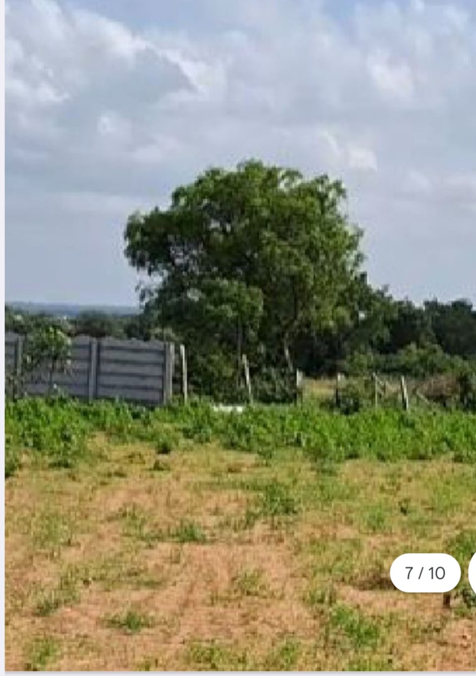 Farm Plots for sale In Nednur near Kandukur Srisailam Highway