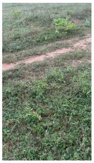 6.20 Guntas Land for Sale in Karrevanipalle, Mahabub Nagar
