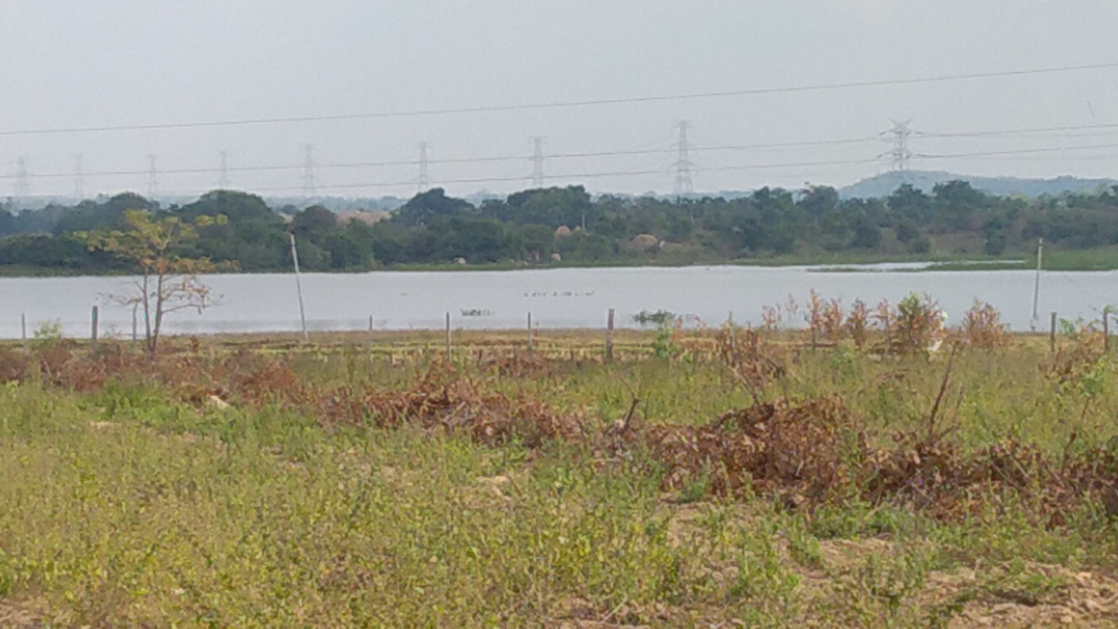 28 ACRES LAND FOR SALE AT NARASAPUR