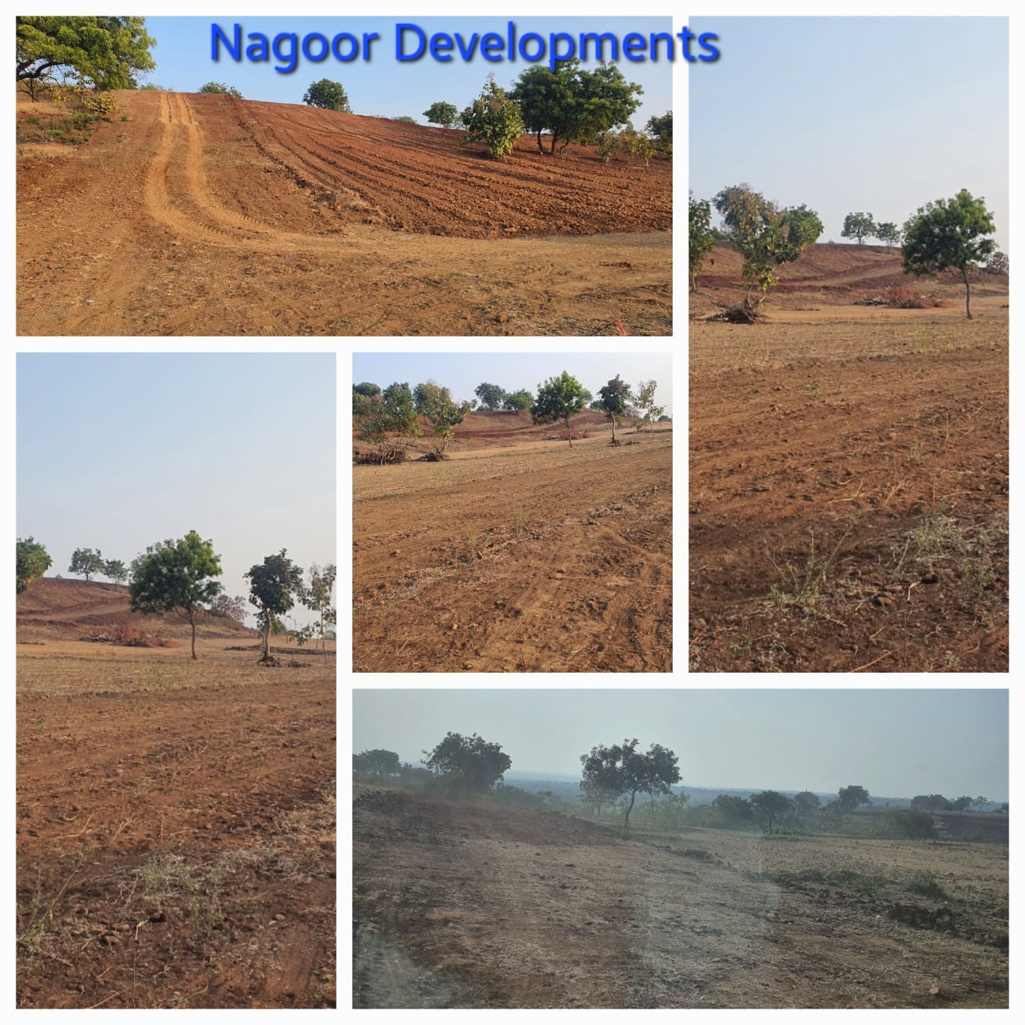 Wild Wood Farm Land For Sale At Nagoor Sangareddy