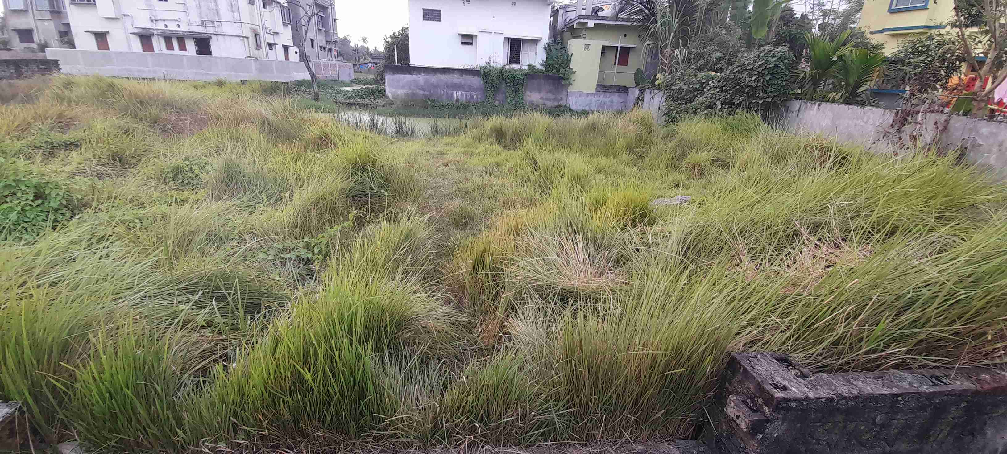 RG-AD-163 : LAND at SONARPUR for SALE. Contact +91 98300 42930 OR +91 94346 10394 
