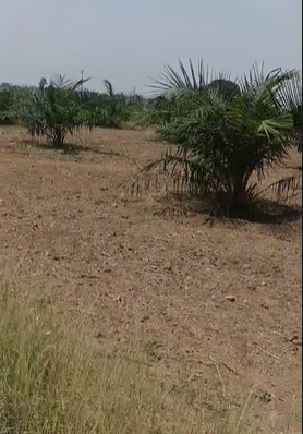 3 Acres Land For Sale At Makthal Narayanpet