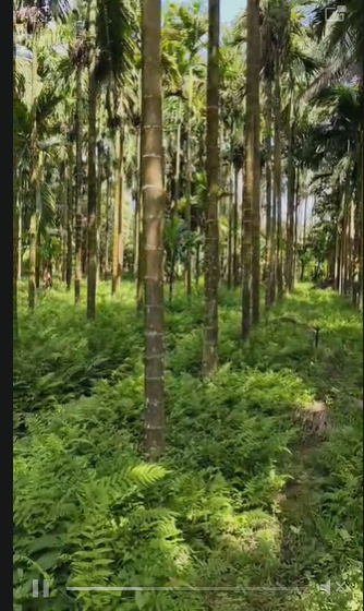 Agriculture Land with House For Sale In Puttur  