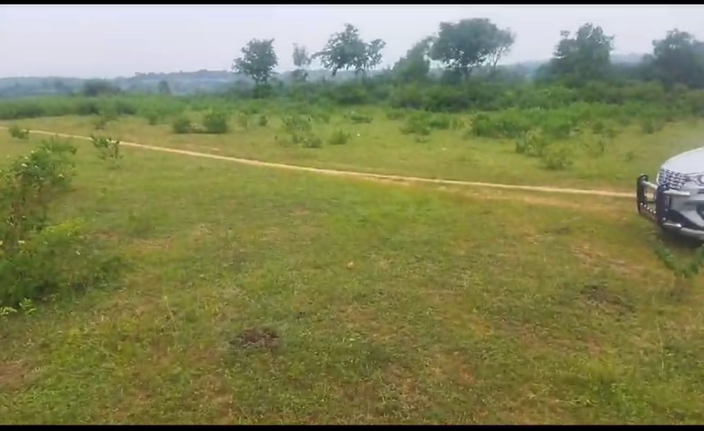 8 acre agriculture land for sale in vithalapur at Siddipet