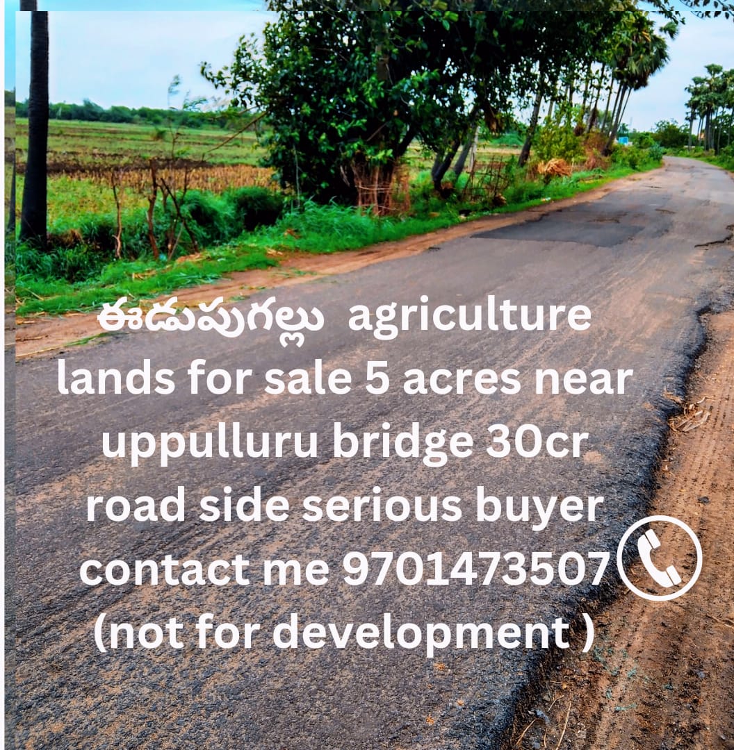 Agriculture land for sale at Edupugallu