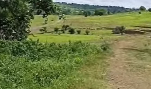 General Land For Sale In  Kamalapur Kalaburagi