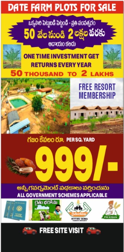 Green Investment Opportunity in Narayankhed – Farm Plots at Their Best