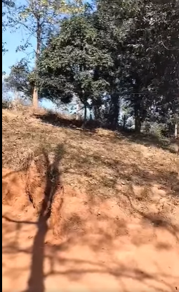 3 Bigha Tribal Belt Land For Sale @  Jorabat Kamrup