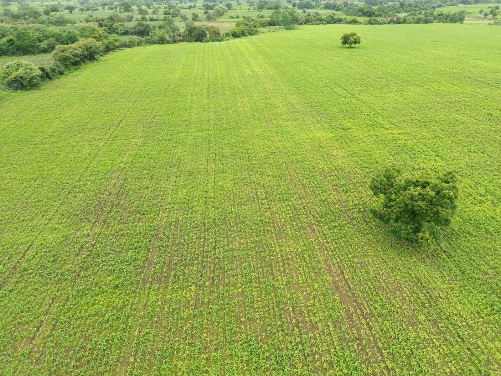 25 Acres of Agricultural Land for Sale  Before Vikarabad,Chevella-Pargi Highway
