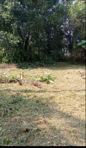 22 Cents Residential Site For Sale In  Purusharkatte Puttur 