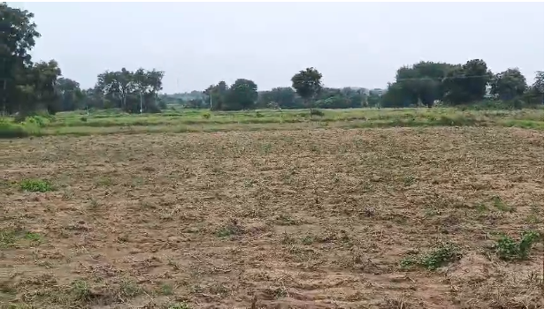 Residential Site for Sale in Krishna Nagara Karnataka
