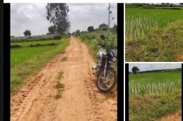 1 Acre Agricultural Land For Sale At Gooonglur Sangareddy