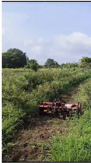 27 acres Agriculture land for sale at kondhali Nagpur 