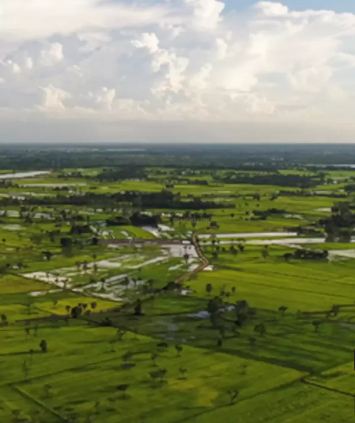 Fortune Pharma County  Open Villa Plots for Sale 