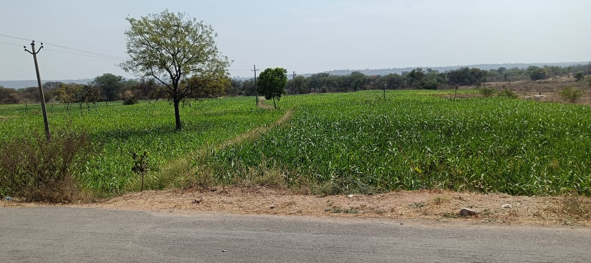 2.16 Acres land for sale at Pitlam Kamareddy