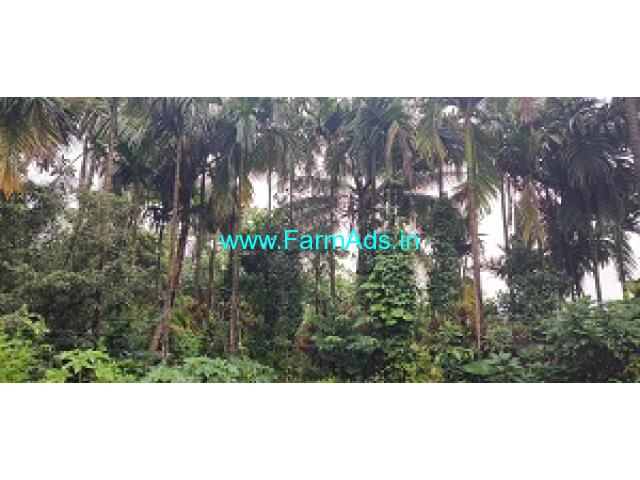 3 Acres Agricultural Land For Sale In Adyandka Puttur