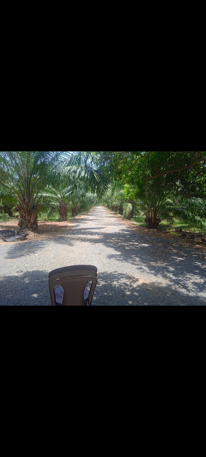 Plot for Sale in Eedupugallu 