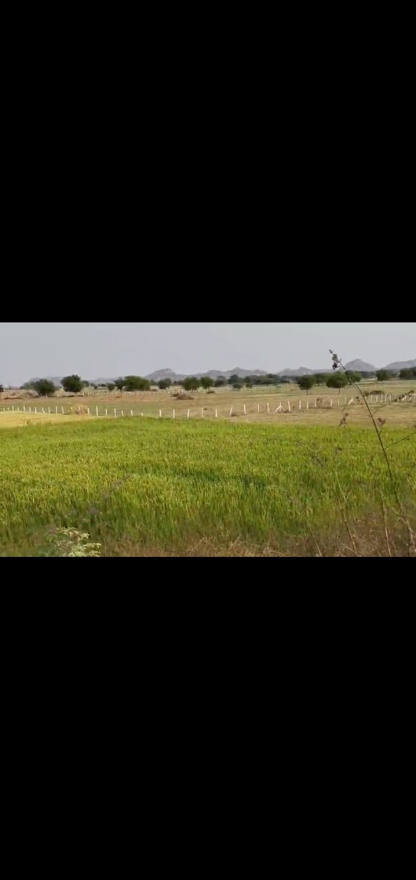 9 Acres agriculture land for sale at Srisailam NH to Hyderabad road 
