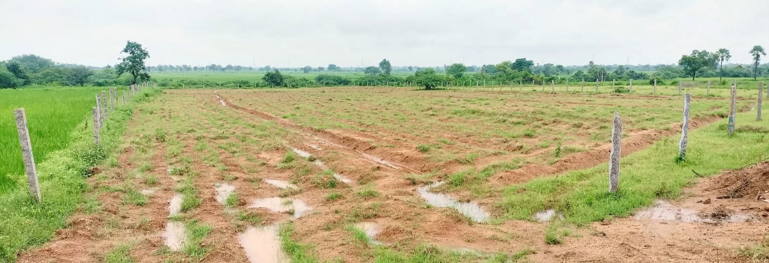 2.14 Acres Agricultural Land For Sale In Cherial Siddipet