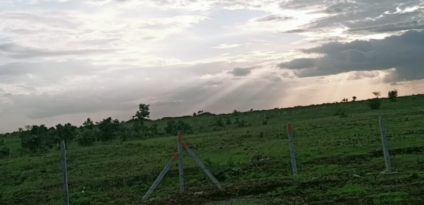 Low Cost Farm Lands in Narayankhed