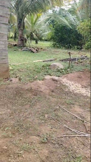 6 Acres Farm Land For Sale In Kanakapura Karnataka