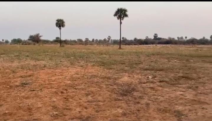 15 Acres Agricultural Land For Sale In  Aourapally Ranga Reddy
