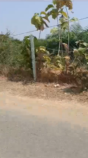4 Acres Agricultural Land For Sale At Marikal