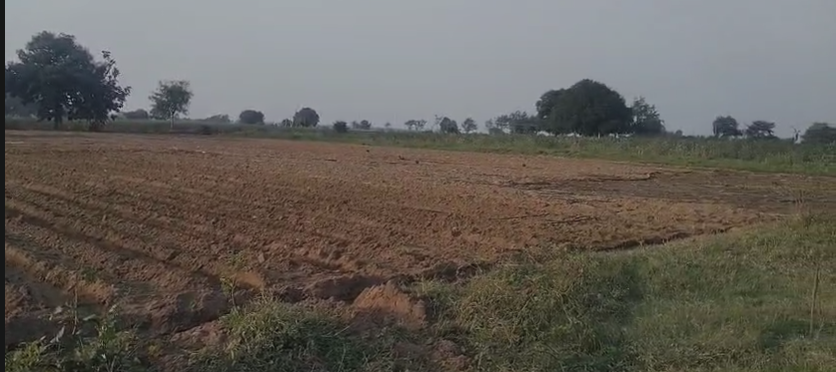 27 Guntas Agricultural Land For Sale At Wargal  Siddipet
