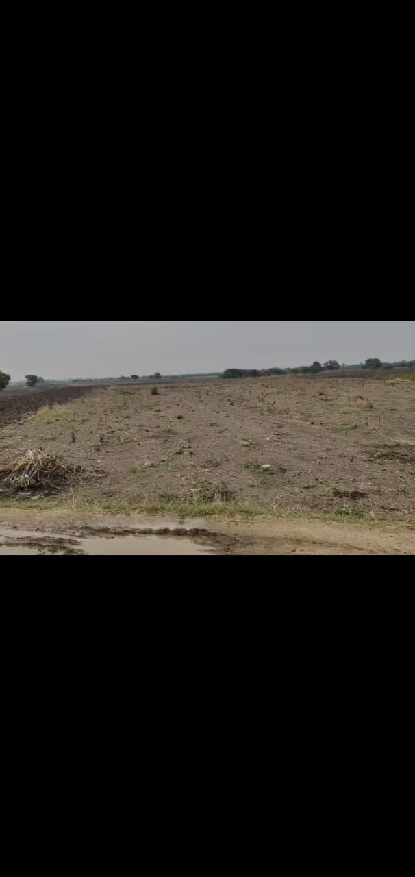 35 guntas agriculture land for sale in panyala