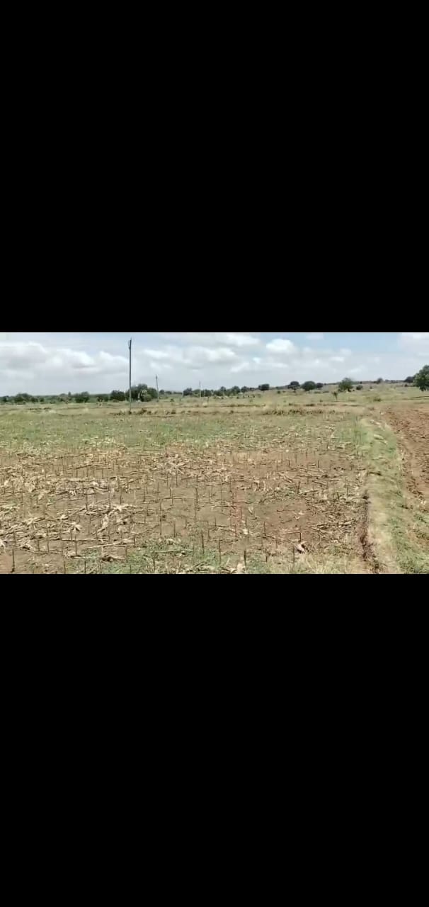 Agriculture land for Sale in Sorake Puttur Karnataka

