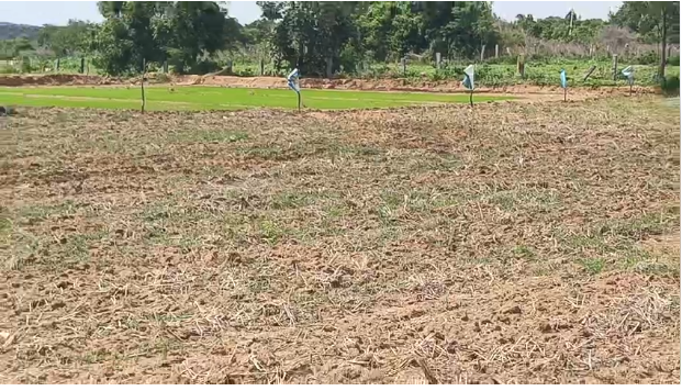 Urgent Sale - Plain land for Sale in Narimogru Puttur Karnataka
