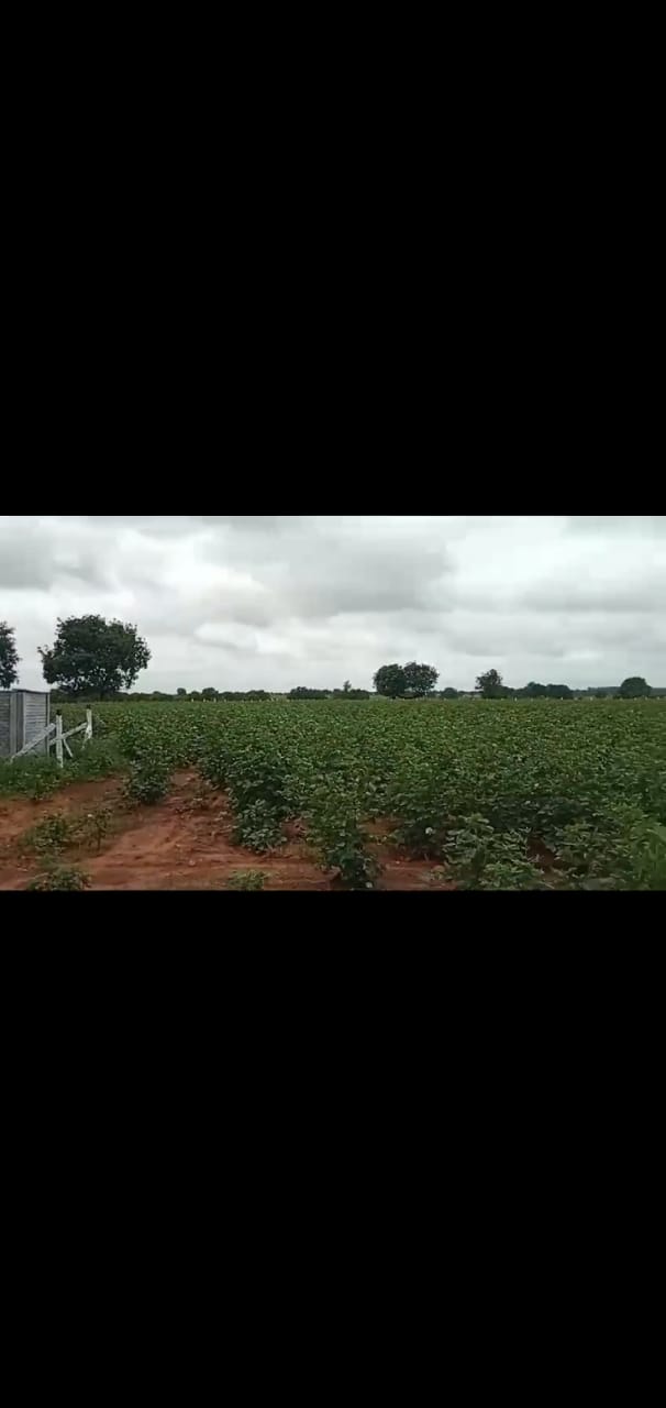 2 acres 20 guntas Agriculture land for sale on srisailam highway