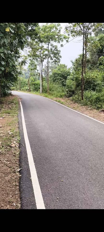 3 Acres Farmland For Sale @ Gajapathi Nagaram Vizianagaram