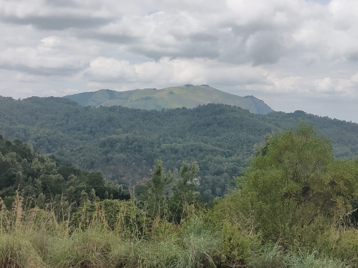 1 Acre 59 Cent  of Agricultural Land for Sale in Solaikadu, Kodaikanal