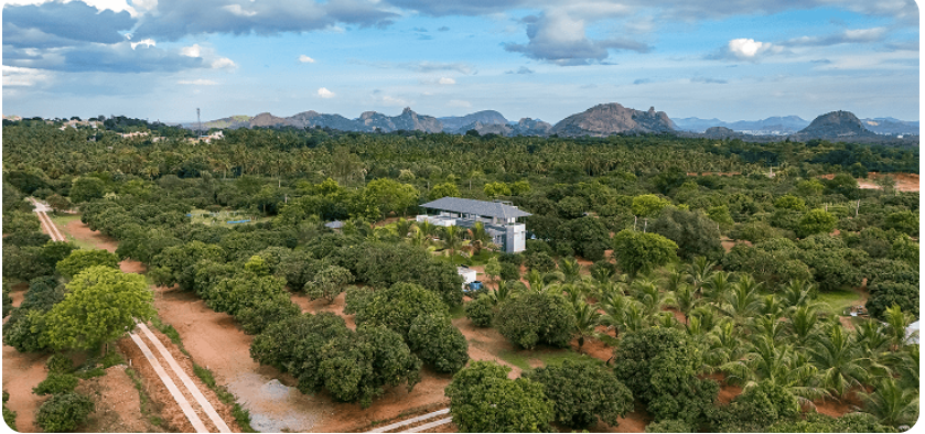 Agricultural Land For Sale In  Punacha Puttur