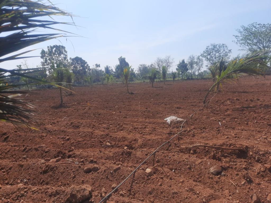 2 acre Land for sale near Mysuru