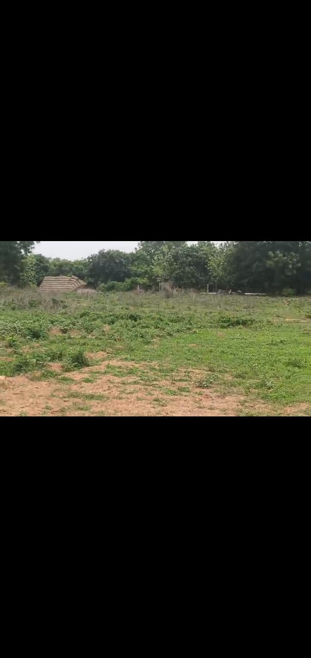 1 Acre land for sale at Nagunoor  Siddipet