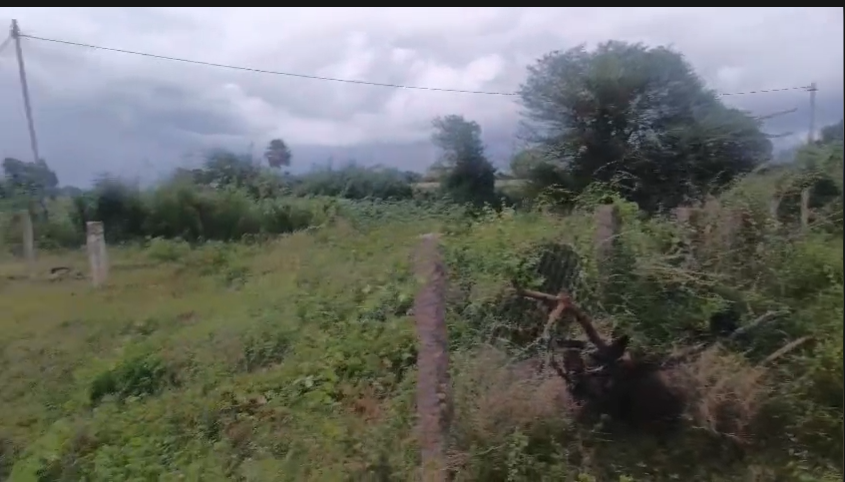 Agricultural Land For Sale In Cherial Siddipet