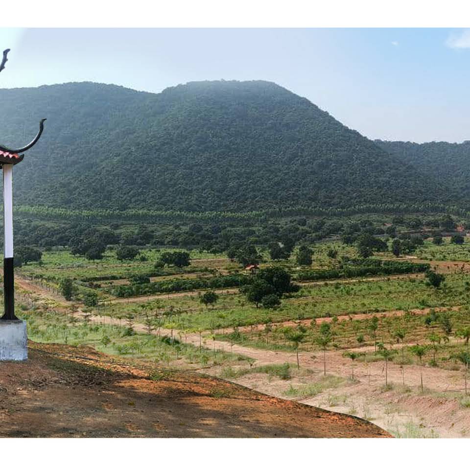  Premium Plots in 56 Acre Housing Community at Chandan Valley near Nuzividu Highway