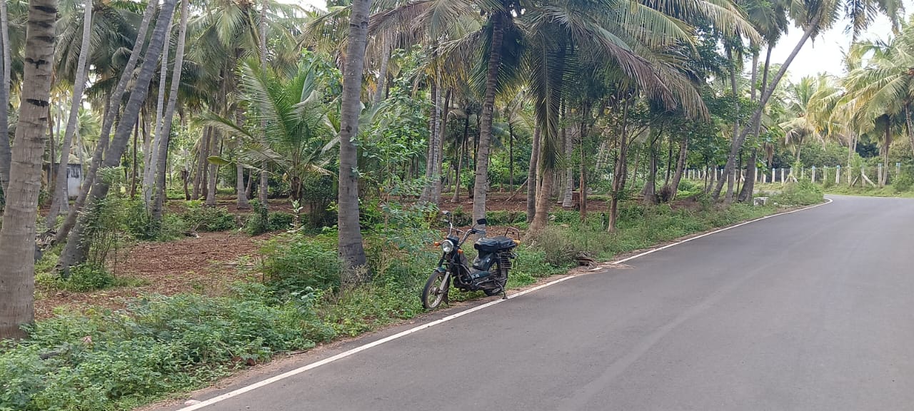 FARM LAND FOR SALE IN STAR GREEN VALLEY AT MADURAI TO NATHAM ROAD 
