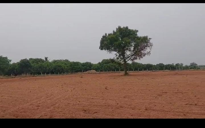 3 Acres Red Soil  Agricultural Land For Sale In Maddur  Siddipet