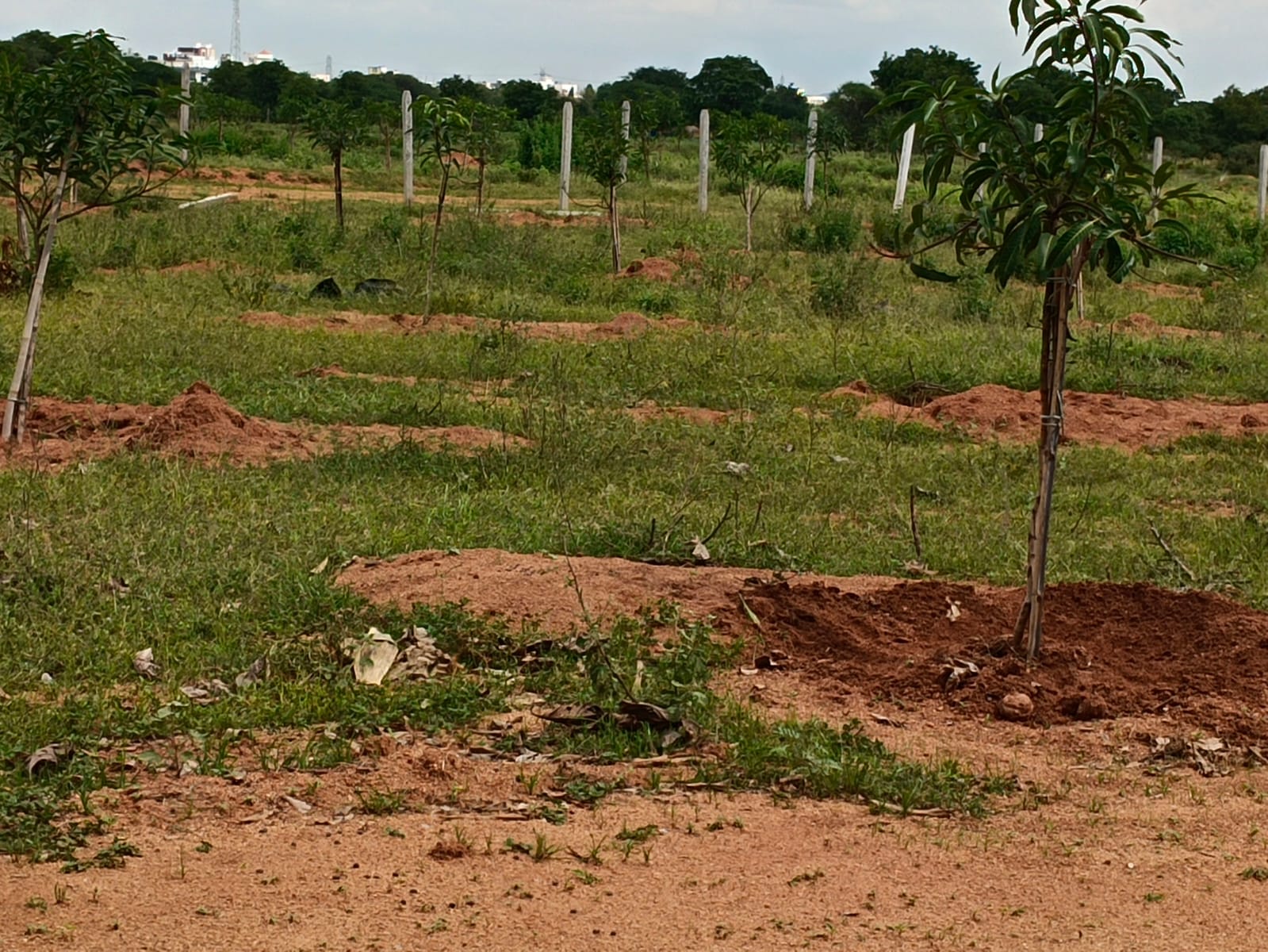 Farm land Plots @ Yacharam
