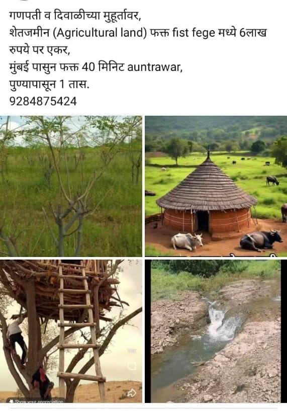 Agricultural Land for sale in Auntrawar Uttar Pradesh